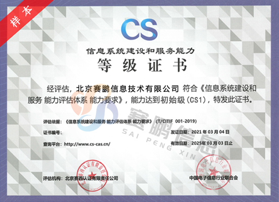 CS1级（初始级）信息系统建设和服务能力评估体系
