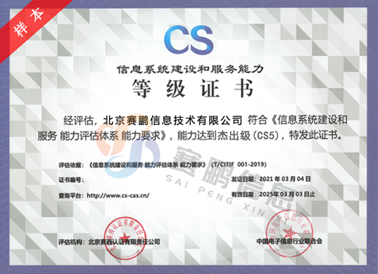 CS5级（杰出级）信息系统建设和服务能力评估体系
